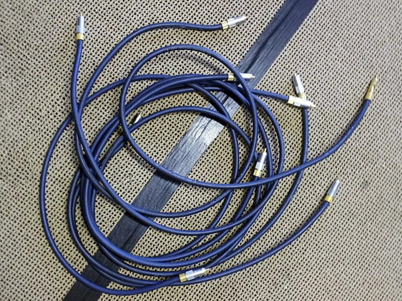 Wired for Belief: The Neuroscience Behind Why Audiophiles Swear by Expensive Cables